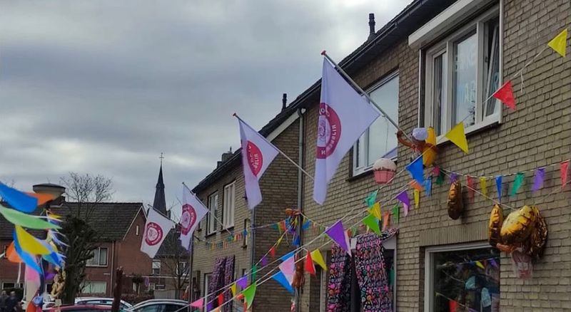 Huizen in Rijsbergen met Aopelaanders-vlaggen, slingers en carnavalsversiering